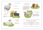 WiBuKi - Wissensbuch für Kinder - Die Bauernhoftiere