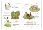 WiBuKi - Wissensbuch für Kinder - Die Bauernhoftiere