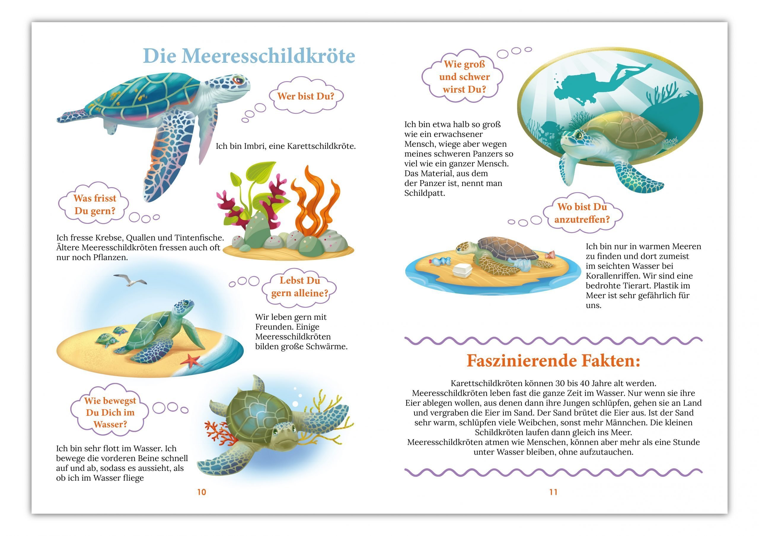 Wissensbuch Kinder ALLEOVS – – WiBuKi Die - für GmbH Unterwasserwelt